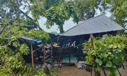 জামালপুরে কালবৈশাখী ঝড়ে গাছ পড়ে মা ও ২ মেয়ের মৃত্যু