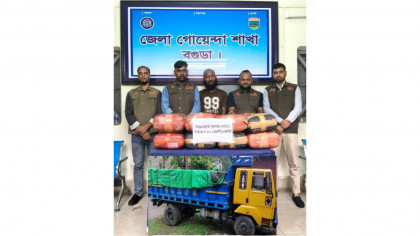 বগুড়ায় বালুভর্তি ট্রাকে ৮০ কেজি গাঁজা উদ্ধার, আটক ১