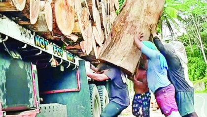 মহান মে দিবস আজ: শ্রমিকের অধিকার ও মর্যাদার স্বীকৃতির দিন