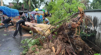 আক্কেলপুরে ঝড়ে ব্যাপক ক্ষয়ক্ষতি ; রাস্তায় গাছ পড়ে যান চলাচল বন্ধ