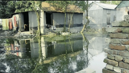 ব্রাহ্মণবাড়িয়া পৌরসভার সরকারি ড্রেন দখল করে স্থাপনা নির্মাণ, জলাবদ্ধতায় চরম দুর্ভোগে পৌরবাসী