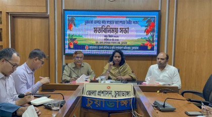 ১৩ মে থেকে বাজারে আসছে চুয়াডাঙ্গার আম