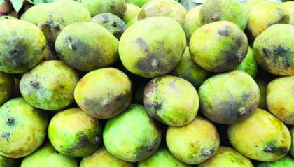 বিষমাখা আম-লিচুতে সয়লাব বাজার