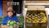 গ্রাহকদের সাথে প্রতারণা করেছে আম তারেক, এমন অভিযোগ করেছেন একজন প্রবাসী
