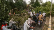 উত্তর প্রদেশে শক্তিশালী ঝড় ও বজ্রপাতে নিহত ৫৬
