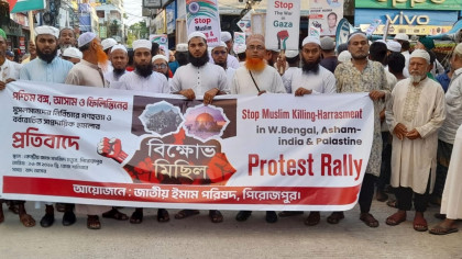ভারতে মুসলিম নির্যাতনের প্রতিবাদে পিরোজপুরে বিক্ষোভ মিছিল ও সমাবেশ 