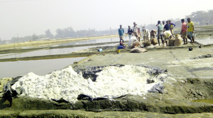 সিন্ডিকেটের দৌরাত্ম্যে ন্যায্যমূল্য থেকে বঞ্চিত বাঁশখালীর লবণ চাষিরা

