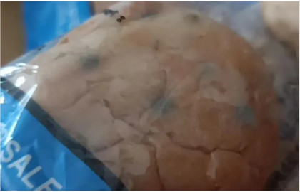 শরীয়তপুরে স্কুল ফিডিং প্রকল্পে পঁচা খাবার সরবরাহ, অসুস্থ একাধিক শিশু