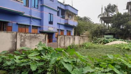 নেত্রকেণায় দেয়াল তুলে রাস্তা বন্ধের অভিযোগ, ভোগান্তিতে ছয় পরিবার

