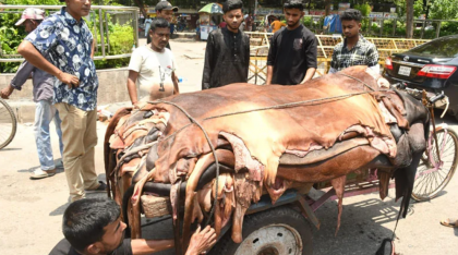 চামড়া বাজারে মন্দা, লক্ষ্যমাত্রা কমেছে এক-তৃতীয়াংশ


