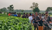 বিএসএফের দুই দফা পুশইন রুখে দিল বিজিবি