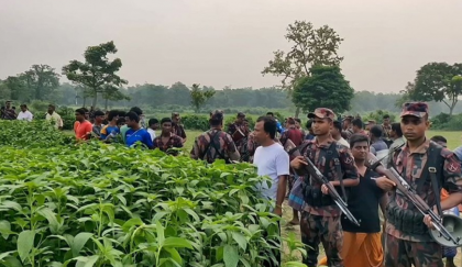 বিএসএফের দুই দফা পুশইন রুখে দিল বিজিবি