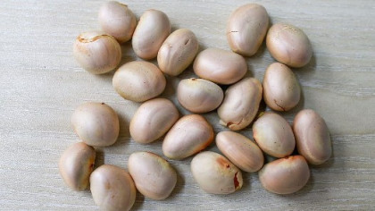 কাঁঠাল বীজের যত পুষ্টিগুণ