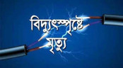 নীলফামারীতে বিদ্যুৎ স্পৃষ্ট হয়ে দুইজনের মৃত্যু, আহত ১

