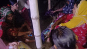 নদীপথে ১৫ জনকে পুশইনের চেষ্টা বিএসএফের, রুখে দিল বিজিবি