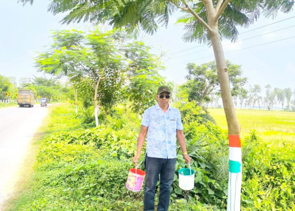 ভারতীয় পতাকার আদলে গাছে রং, সমালোচনার মুখে মুছে ফেললেন আওয়ামী লীগ নেতা 

