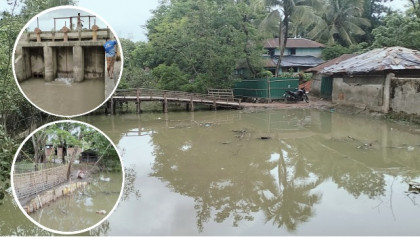 বিকল স্লুইস গেটে জোয়ারের পানিতে প্লাবিত বাঁশখালীর পুঁইছড়ির বিস্তীর্ণ এলাকা

