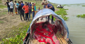 লালপুরে কয়েকদিনের ব্যবধানে আবারও গুলিবিদ্ধ যুবকের  লাশ উদ্ধার