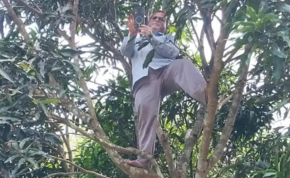 রাঙামাটিতে নেটওয়ার্কের খোঁজে গাছে উঠে শিক্ষকের হাজিরা