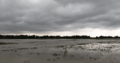 নেত্রকোনার মদনে মাছের বাইর তুলতে গিয়ে বজ্রপাতে এক যুবকের মৃত্যু 