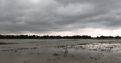 নেত্রকোনার মদনে মাছের বাইর তুলতে গিয়ে বজ্রপাতে এক যুবকের মৃত্যু 