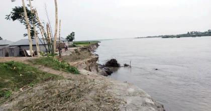ব্রহ্মপুত্রের তীব্র ভাঙনে নদীগর্ভে ৫০ বসতবাড়ি, আতঙ্কে শতাধিক পরিবার