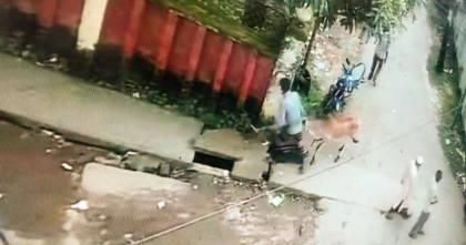 নেত্রকোনায় কৃষি ফার্ম থেকে গরু চুরির অভিযোগ; সিসিটিভিতে ধরা পড়লো দৃশ্য 