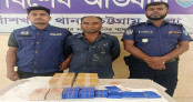 বাঁশখালীতে ৩০ হাজার ইয়াবা জব্দ, গ্রেপ্তার এক