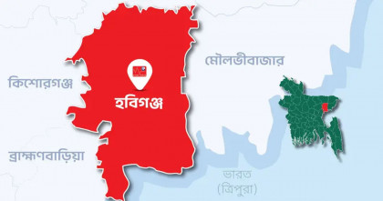 হবিগঞ্জে বিদ্যুৎস্পর্শে প্রাণ গেল আপন দুই ভাইয়ের