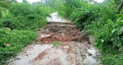 চুয়াডাঙ্গায়  ভারী বৃষ্টিতে সড়ক ধসে দু'গ্রামের যোগাযোগ বিচ্ছিন্ন