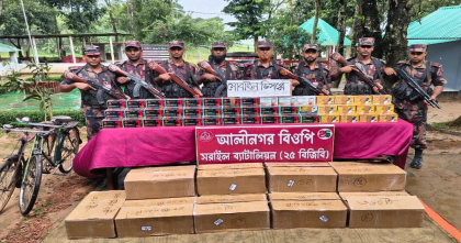 বিজয়নগর সীমান্তে তিন কোটি ১৭ লাখ টাকার ভারতীয় মোবাইল জব্দ