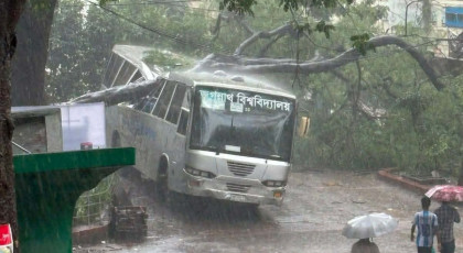 জবি ক্যাম্পাসে বাসের উপর ভেঙে পড়ল শতবর্ষী কৃষ্ণচূড়া গাছ

