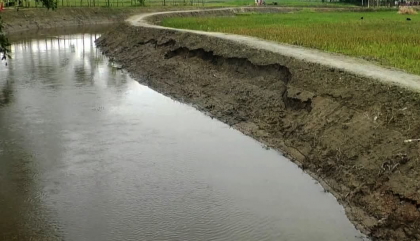 ধাইজান নদী খনন প্রকল্পে অনিয়মের অভিযোগ