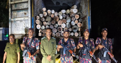 হবিগঞ্জে বিজিবির অভিযানে ৬০ লাখ টাকার গর্জন কাঠ ও কাভার্ড ভ্যান জব্দ