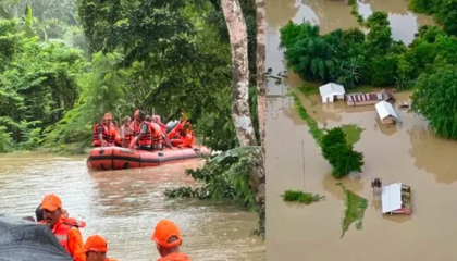 আসামে বন্যায় মৃত্যু বেড়ে ৩১, বিপর্যস্ত লাখো মানুষ