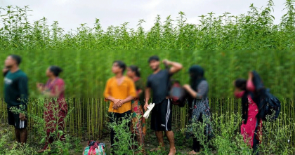 কুষ্টিয়া সীমান্তে আট জনকে পুশইনের চেষ্টা রুখে দিল বিজিবি