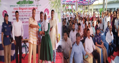 পরিবেশ রক্ষায় বৃক্ষরোপণের বিকল্প নেই: ইকবাল হাসান মাহমুদ