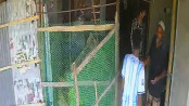 ২০ লাখ টাকা চাঁদা না পেয়ে ভবনে হামলা ও বিস্ফোরণ