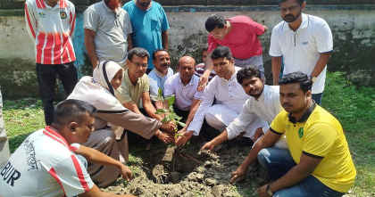 গাংনীতে ভিবিডির উদ্যোগে ৪০০ চারা গাছ রোপণ ও বিতরণ