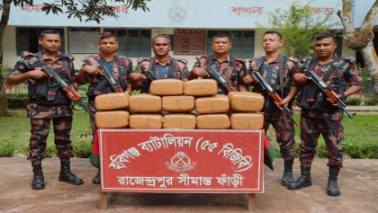 ৫৫ বিজিবির অভিযানে ৬০ কেজি ভারতীয় গাঁজা জব্দ