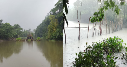 আওয়ামী প্রজন্ম লীগের নেতার পাউবোর খাল দখল করে মাছ চাষ