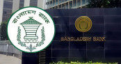 জুলাইয়ে রেমিট্যান্স এলো ৩৫ হাজার কোটি টাকার: বাংলাদেশ ব্যাংক