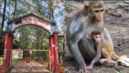 রক্ষণাবেক্ষণে অবহেলায় প্রাণহীন যমুনা ইকো পার্ক