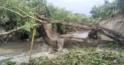 সুইসগেট ধস: কোমর পানি পেরিয়ে জীবিকা, ৭ কিলোমিটার ঘুরে চলাচল