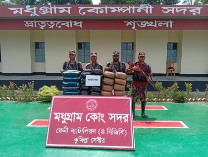 ফেনী সীমান্তে বিজিবির অভিযানে ৬৩.৫ কেজি ভারতীয় গাঁজা জব্দ