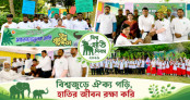 বাঁশখালীতে বিশ্ব হাতি দিবস: ক্ষতিগ্রস্ত ৪৫ কৃষক পেলেন ১৯ লাখ টাকার চেক