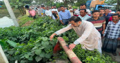 জলাবদ্ধতা নিরসনে চর বেতাগৈরে খাল পরিদর্শনে তথ্য ও সম্প্রচার প্রতিমন্ত্রী