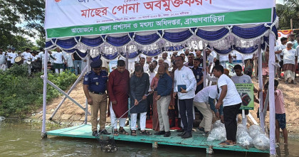 ব্রাহ্মণবাড়িয়ায় বর্ণাঢ্য আয়োজনে তিন দিনব্যাপী জাতীয় মৎস্য পক্ষ-২০২৬ উদযাপন