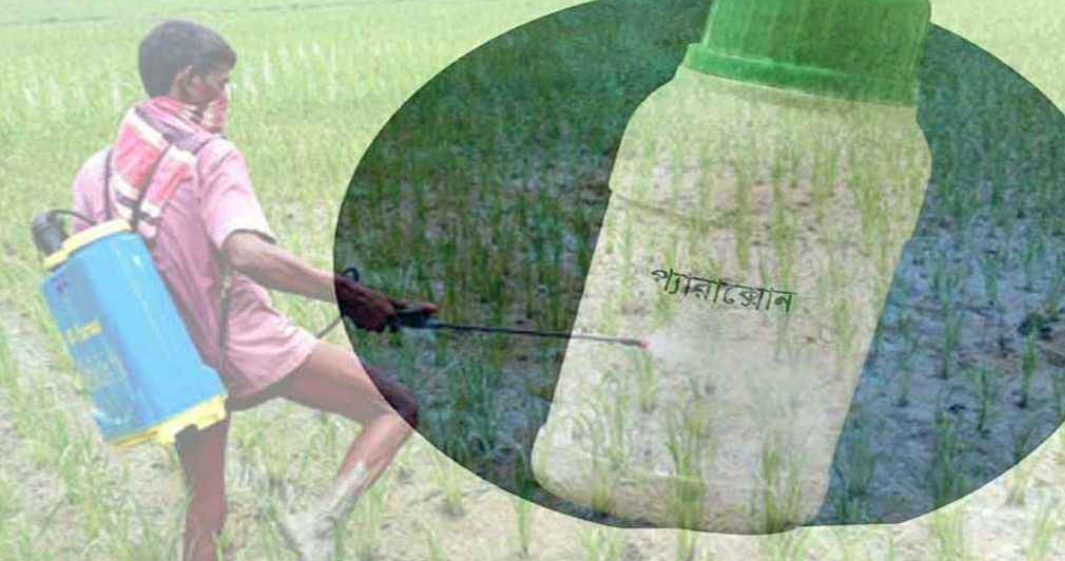 আগাছা মারতে ৭৭ দেশে নিষিদ্ধ প্যারাকোয়াট, দেশে মরছে মানুষ


