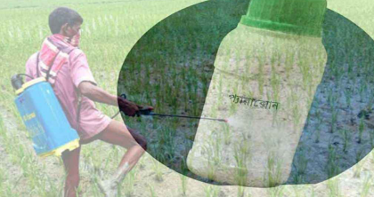 আগাছা মারতে ৭৭ দেশে নিষিদ্ধ প্যারাকোয়াট, দেশে মরছে মানুষ

